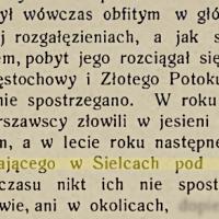 Kulczyk śpiewa, 1912