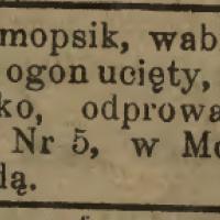Zginął Rulonik Zginął Rulonik, 1914