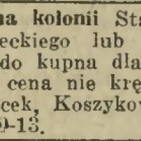 Cena nie krępuje Ogłoszenie. Willę kupię dla ministra. 1936.