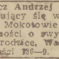 Poszukiwania: Stańczyk Poszukiwania: Stańczyk, 1945