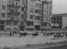 Al. Niepodległości, ok. 1939