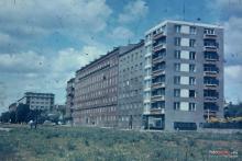 Al. Niepodległości, Wierzbno, 1963