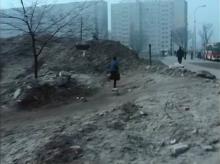 Św. Bonifacego, 1977