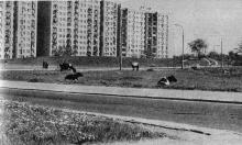 Śródziemnomorska, Św. Bonifacego, 197?