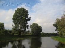 Łacha Siekierkowska, 2005