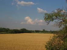 Batalionu AK Jeleń, 2006