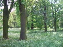 Park SGGW, 2007 Park SGGW, 2007
