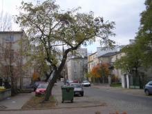 Pytlasińskiego, 2007