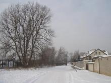 Barbary Ludwiżanki, 2009