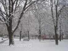 Skwer Broniewskiego-Orszy, 2009