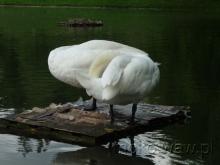 Arkadia, 2015 Arkadia, 2015