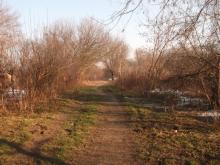 Grupy AK Kampinos, 2017