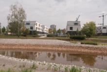 ulica Śpiewu Ptaków, 2018