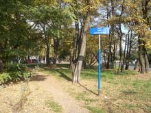 Skwer Anieli Steinsbergowej, 2018