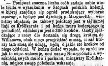 Wyborne szparagi. Nowy Sad. 1868