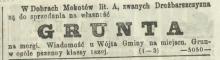 Grunta na morgi, 1870