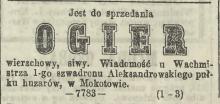 Do sprzedania ogier, 1872