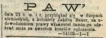 Przybłąkał się paw, 1878