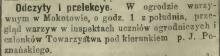 Przegląd warzyw, 1899