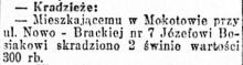 Kradzież 2 świń wartości 300 rubli, 1915