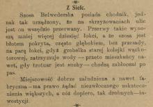 Zabłoceni po pas, 1918