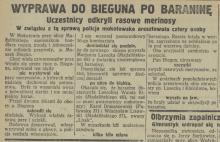 Wyprawa po baraninę, 1926