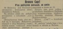 Brawo cap! 1929