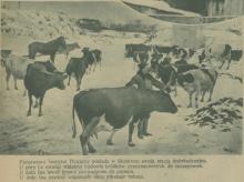 Stacja doświadczalna, 1931