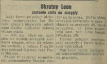 Sidła na szczygły, 1931