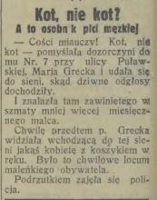 Kot, nie kot? 1931