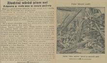 Złodziej wśród płomieni, 1933