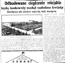 Chwilowo warzywa, 1940