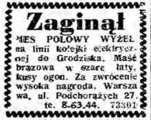 Zaginął wyżeł, 1943