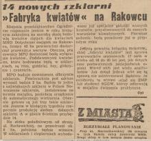 Fabryka kwiatów, 1951