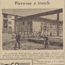 Pierwsze z trzech, 1951