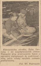 Przerzucanie łososi, 1953